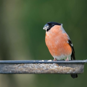 Untitled (22 Of 118).jpg